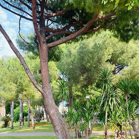 2 Au Bord De Entierement Climatise Avec Parking *